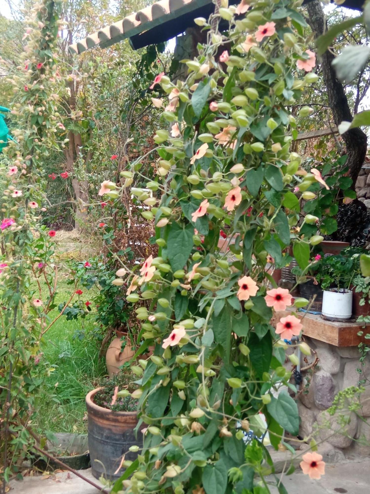 Casa De Mama Valle - Урубамба Екстериор снимка